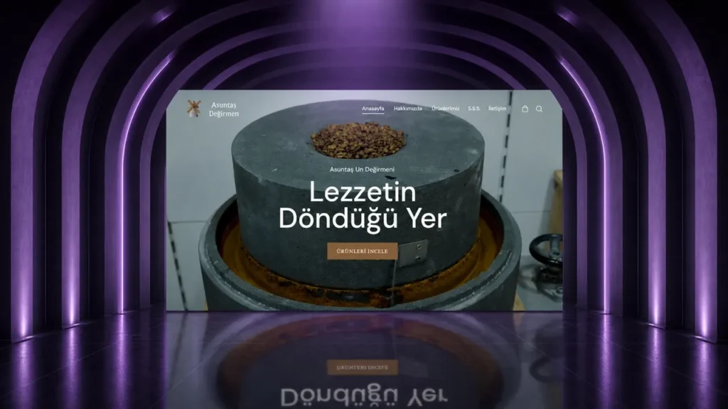 Asuntaş web sitesi tasarımı