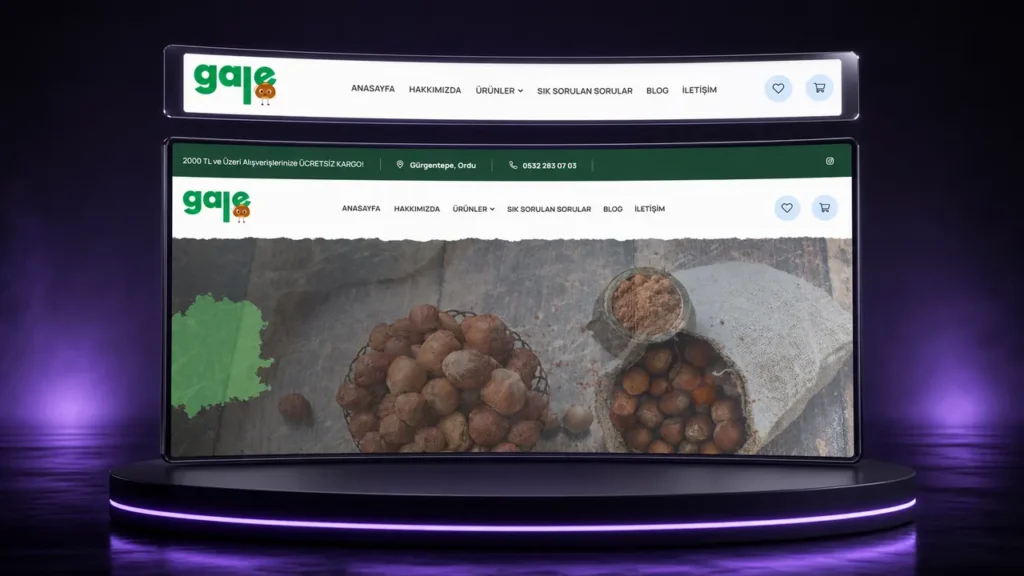 Baykara Fındık web sitesi tasarımı
