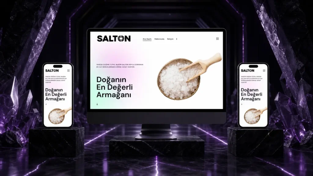 Salton Salt web sitesi tasarımı